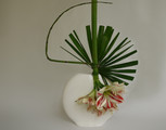 Introduction to Ikebana: Japanese Flower Arrangement