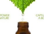 Introduction to Young Living Essential Oils