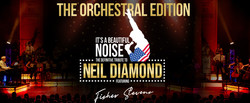 It's A Beautiful Noise with Fisher Stevens as Neil Diamond