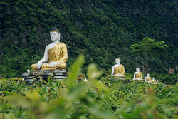 Kindness Meditation and Yoga Retreat Nepal