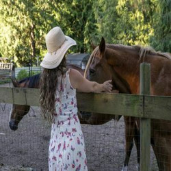 Kitchensink Rescue farm and Sanctuary Charity Gala