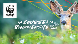 La Course a la biodiversite du WWF-Canada du 22 au 24 sept/ WWF-Canada's Race for Wildlife