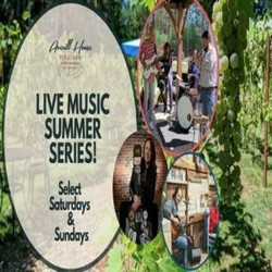 Live music Sundays at Averill House Vineyard! Wine, food and fun. Family and pet friendly, Brookline
