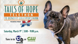Lollypop Farm Tails of Hope Telethon presented by Hoselton Auto Mall