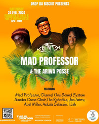 Mad Professor and The Ariwa Posse
