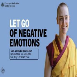 Meditation Class: Let Go of Negative Emotions (5/5 in Wicker Park)