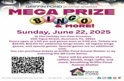 Mega Prize Bingo
