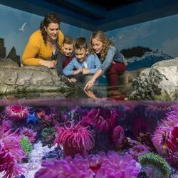 Mid-winter Break at Sea Life Michigan Aquarium