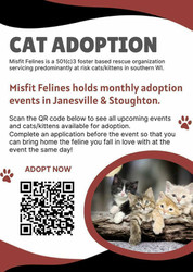 Misfit Felines Cat/Kitten Adoption Event at PetSmart in Janesville