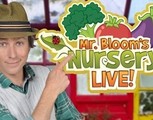 Mr Bloom's Nursery