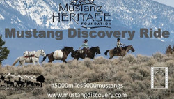 Mustang Discovery Ride Meet the Mustangs