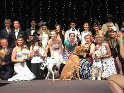 Mutts and Models presented by Pepper's Senior Dog Sanctuary