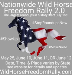Nationwide Wild Horse Freedom Rally Montana
