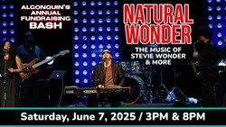 The Best Of Stevie Wonder: A Motown Magic Bash In Manasquan