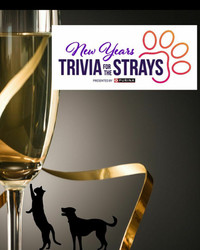 New Year for the Strays Trivia Night