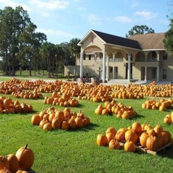 Newsong Community Church Pumpkin Patch and Free Fall Fest
