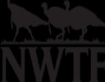 Nwtf: Monroe County Chapter Ms
