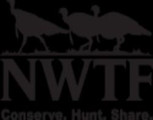 Nwtf: North Country Longspurs Vt