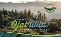 Ojai Wild! A Benefit for Los Padres ForestWatch and the Protection of Pine Mountain