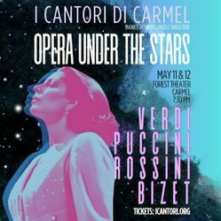 Opera under the Stars