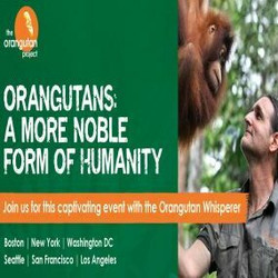 Orangutans: A More Noble Form of Humanity