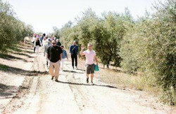 events_premium_thumb_134218_132889.jpg