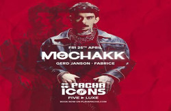 Pacha Icons with Mochakk