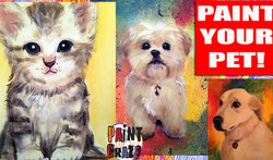 Paint Your Pet Benefiting Animal Welfare Society Of Cape May County