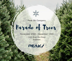Parade of Trees: Peak Ski Company
