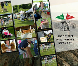 Paws by the Sea Dog Show Cluster