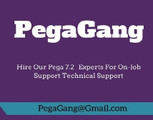 Pega Project Support