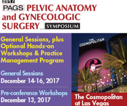Pelvic Anatomy and Gynecologic Surgery Symposium (pags)
