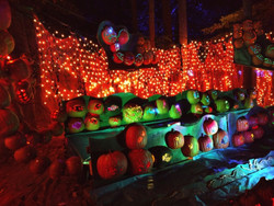Pumpkin Fest at Silvermont in Brevard Nc- Beautiful Lighted Pumpkin Trail, Music, Kids Activities!!!