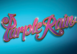 Purple Rain The Musical