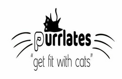 Purrlates (Pilates) - with rescue and adoptable cats!