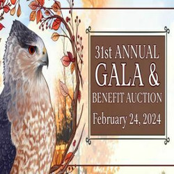 Rocky Mountain Raptor Program 31st Annual Gala and Benefit Auction