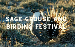 Sage Grouse and Birding Festival
