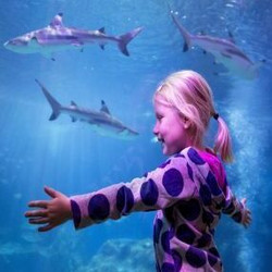Scout Days at Sea Life Aquarium - Boy Scout and Girl Scout Event in Southeast Michigan