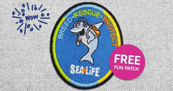 Scout Days at Sea Life Aquarium - Boy Scout and Girl Scout Events in Southeast Michigan