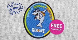 Scout Days at Sea Life Aquarium