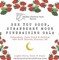 See You Soon Strawberry Moon Fundraining Gala at Smokey Chestnut Farm in Norton