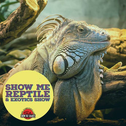 Show Me Reptile and Exotics Show