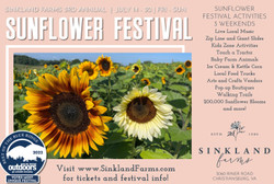 Sinkland Farms 3rd Annual Sunflower Festival