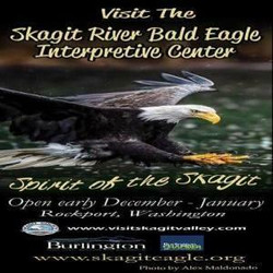 Skagit River Bald Eagle Interpretive Center