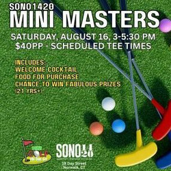 Sono 1420 Mini Masters Golf
