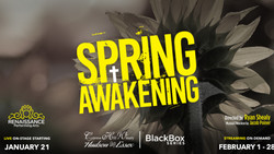 Spring Awakening the Musical