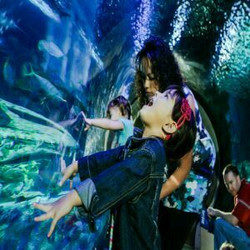 Spring Break at Sea Life Michigan Aquarium