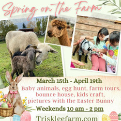 Spring On the Farm