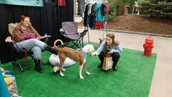 Spring into Love Adoption Event at Mall of America