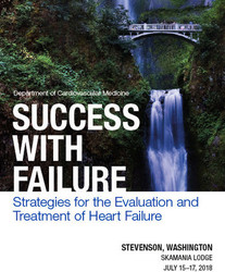 Success With Failure: Strategies for the Evaluation and Treatment of Heart